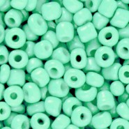 Seed beads 6/0 (4mm) Mint turquoise